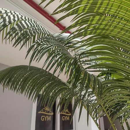 Algorfa Nocleg ze śniadaniem Castillo de Montemar