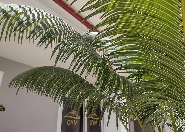 Algorfa Отель типа 